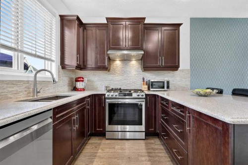 27 Red Embers Lane Ne, Calgary, AB - Indoor Photo Showing Kitchen With Double Sink With Upgraded Kitchen