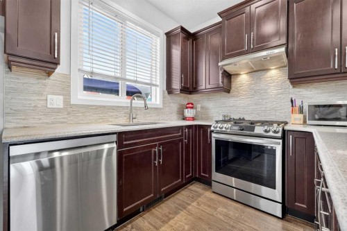27 Red Embers Lane Ne, Calgary, AB - Indoor Photo Showing Kitchen With Stainless Steel Kitchen With Upgraded Kitchen