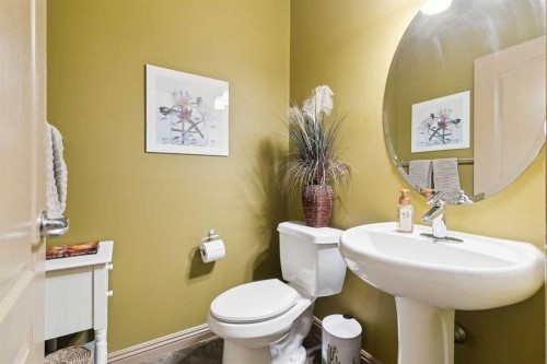 199 Lavender Way, Chestermere, AB - Indoor Photo Showing Bathroom