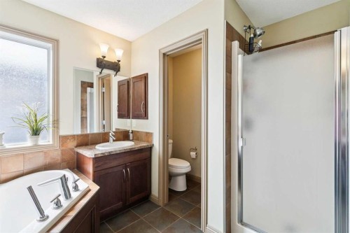 199 Lavender Way, Chestermere, AB - Indoor Photo Showing Bathroom