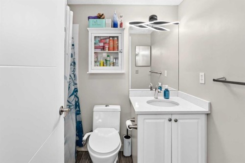 1301-6635 25 Avenue Ne, Calgary, AB - Indoor Photo Showing Bathroom