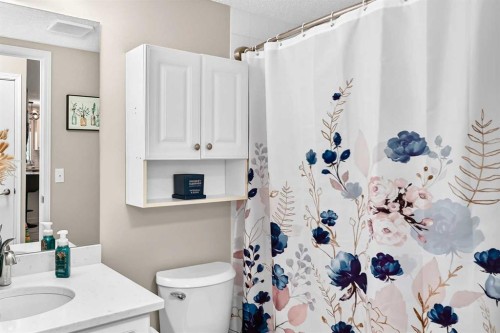 1301-6635 25 Avenue Ne, Calgary, AB - Indoor Photo Showing Bathroom