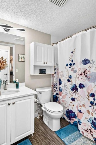 1301-6635 25 Avenue Ne, Calgary, AB - Indoor Photo Showing Bathroom