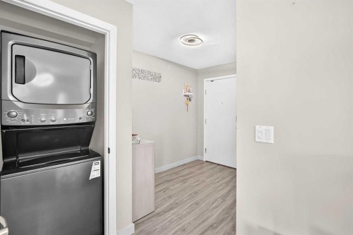 1301-6635 25 Avenue Ne, Calgary, AB - Indoor Photo Showing Laundry Room