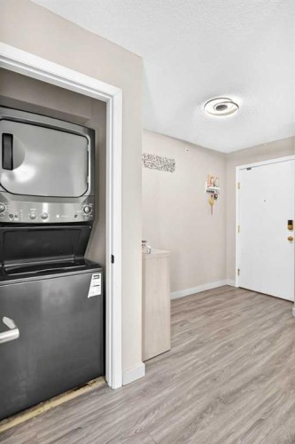 1301-6635 25 Avenue Ne, Calgary, AB - Indoor Photo Showing Laundry Room