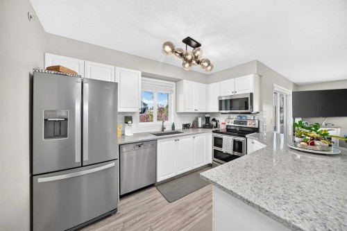 1301-6635 25 Avenue Ne, Calgary, AB - Indoor Photo Showing Kitchen With Stainless Steel Kitchen With Upgraded Kitchen