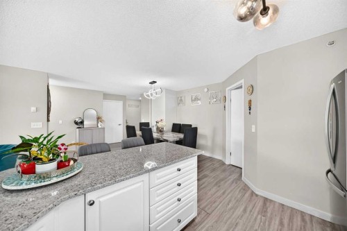 1301-6635 25 Avenue Ne, Calgary, AB - Indoor Photo Showing Kitchen