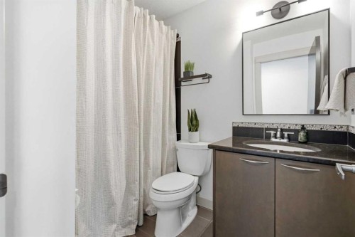 2042 49 Avenue Sw, Calgary, AB - Indoor Photo Showing Bathroom
