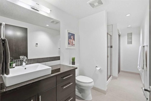 2042 49 Avenue Sw, Calgary, AB - Indoor Photo Showing Bathroom