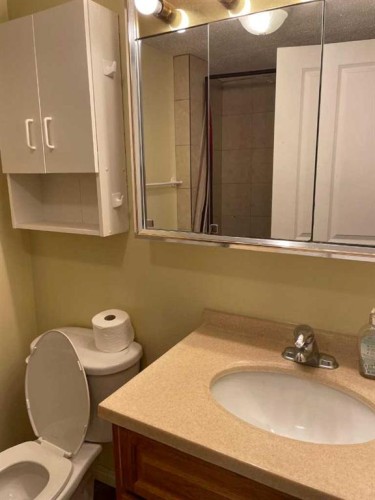 4222 40 Avenue Nw, Calgary, AB - Indoor Photo Showing Bathroom