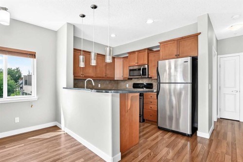 305-509 21 Avenue Sw, Calgary, AB - Indoor Photo Showing Kitchen