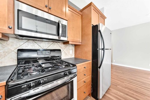 305-509 21 Avenue Sw, Calgary, AB - Indoor Photo Showing Kitchen