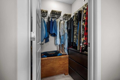 438 Covecreek Circle Ne, Calgary, AB - Indoor With Storage