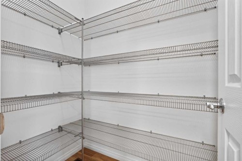 219 New Brighton Landing Se, Calgary, AB - Indoor With Storage