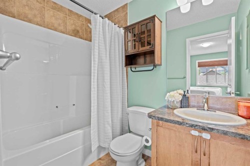 219 New Brighton Landing Se, Calgary, AB - Indoor Photo Showing Bathroom
