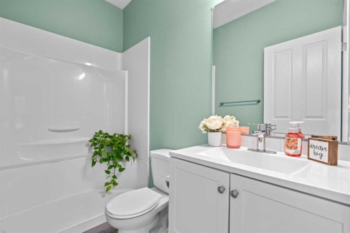 219 New Brighton Landing Se, Calgary, AB - Indoor Photo Showing Bathroom