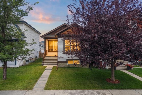 219 New Brighton Landing Se, Calgary, AB - Outdoor