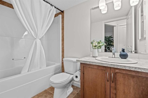 219 New Brighton Landing Se, Calgary, AB - Indoor Photo Showing Bathroom