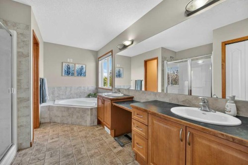 10 Westmount Road, Okotoks, AB - Indoor Photo Showing Bathroom