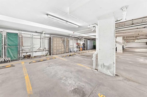 6211-155 Skyview Ranch Way Ne, Calgary, AB - Indoor Photo Showing Garage
