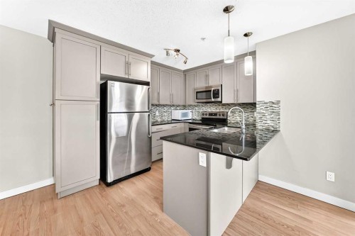 6211-155 Skyview Ranch Way Ne, Calgary, AB - Indoor Photo Showing Kitchen With Upgraded Kitchen
