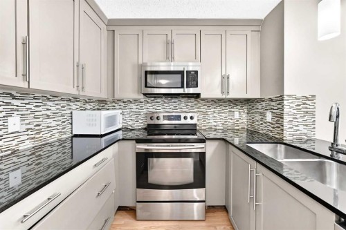 6211-155 Skyview Ranch Way Ne, Calgary, AB - Indoor Photo Showing Kitchen With Double Sink With Upgraded Kitchen