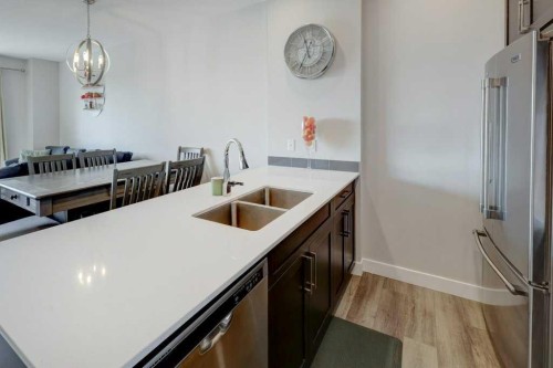 305 Skyview Ranch Circle Ne, Calgary, AB - Indoor Photo Showing Kitchen With Double Sink
