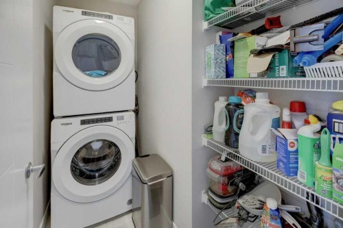 305 Skyview Ranch Circle Ne, Calgary, AB - Indoor Photo Showing Laundry Room