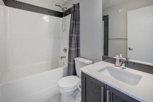 305 Skyview Ranch Circle Ne, Calgary, AB - Indoor Photo Showing Bathroom