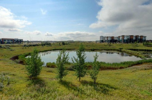 305 Skyview Ranch Circle Ne, Calgary, AB - Outdoor With View