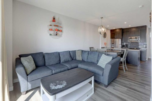 305 Skyview Ranch Circle Ne, Calgary, AB - Indoor Photo Showing Living Room
