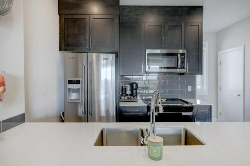 305 Skyview Ranch Circle Ne, Calgary, AB - Indoor Photo Showing Kitchen With Stainless Steel Kitchen With Double Sink With Upgraded Kitchen