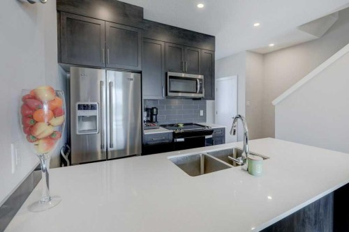 305 Skyview Ranch Circle Ne, Calgary, AB - Indoor Photo Showing Kitchen With Stainless Steel Kitchen With Double Sink With Upgraded Kitchen