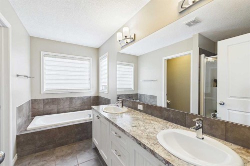 83 Redstone Gardens Ne, Calgary, AB - Indoor Photo Showing Bathroom
