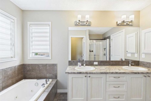 83 Redstone Gardens Ne, Calgary, AB - Indoor Photo Showing Bathroom