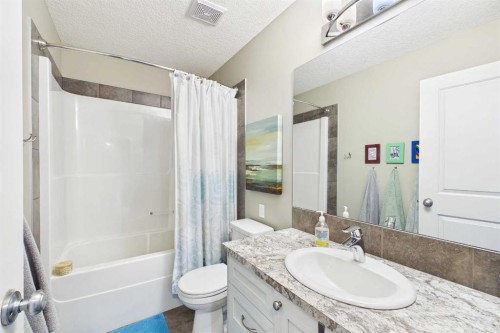 83 Redstone Gardens Ne, Calgary, AB - Indoor Photo Showing Bathroom