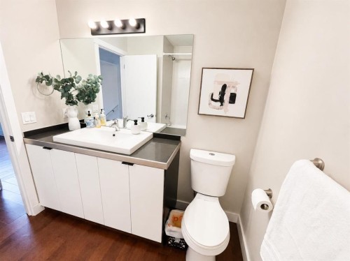 2807 29 Street Sw, Calgary, AB - Indoor Photo Showing Bathroom