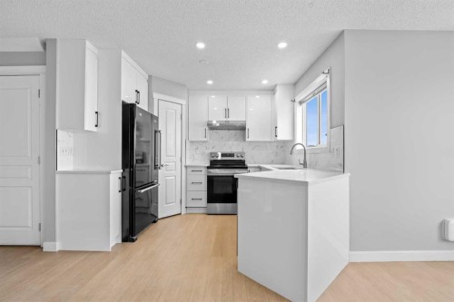 187 Martinvalley Crescent Ne, Calgary, AB - Indoor Photo Showing Kitchen With Upgraded Kitchen