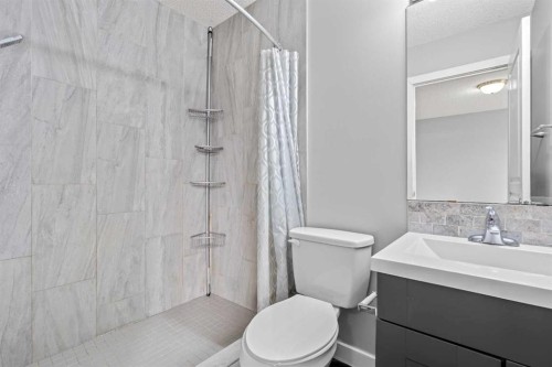 187 Martinvalley Crescent Ne, Calgary, AB - Indoor Photo Showing Bathroom