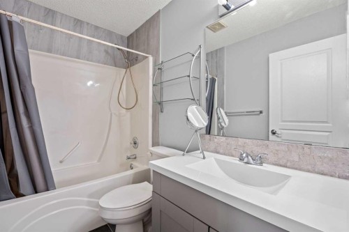187 Martinvalley Crescent Ne, Calgary, AB - Indoor Photo Showing Bathroom