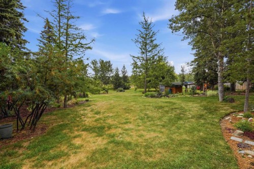 725 Calkins Place, Diamond Valley, AB - Outdoor