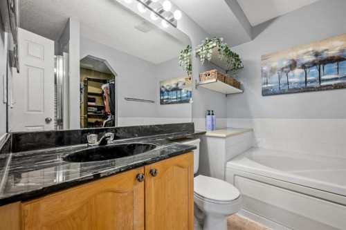163 West Lakeview Passage, Chestermere, AB - Indoor Photo Showing Bathroom