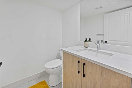1125 Channelside Drive Sw, Airdrie, AB - Indoor Photo Showing Bathroom