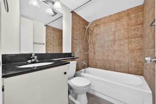 103-903 19 Avenue Sw, Calgary, AB - Indoor Photo Showing Bathroom