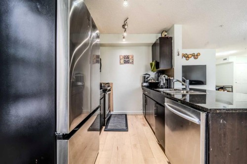 201-7180 80 Avenue Ne, Calgary, AB - Indoor Photo Showing Kitchen With Double Sink