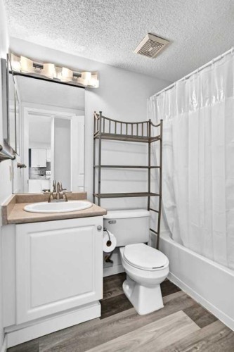 109-1717 60 Street Se, Calgary, AB - Indoor Photo Showing Bathroom