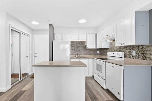 109-1717 60 Street Se, Calgary, AB - Indoor Photo Showing Kitchen With Double Sink