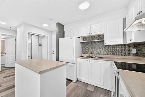 109-1717 60 Street Se, Calgary, AB - Indoor Photo Showing Kitchen With Double Sink