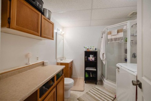 23 Tarington Way Ne, Calgary, AB - Indoor Photo Showing Bathroom