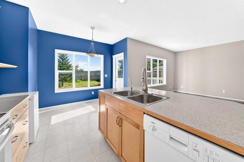 16 Royal Birch Rise Nw, Calgary, AB - Indoor Photo Showing Kitchen With Double Sink